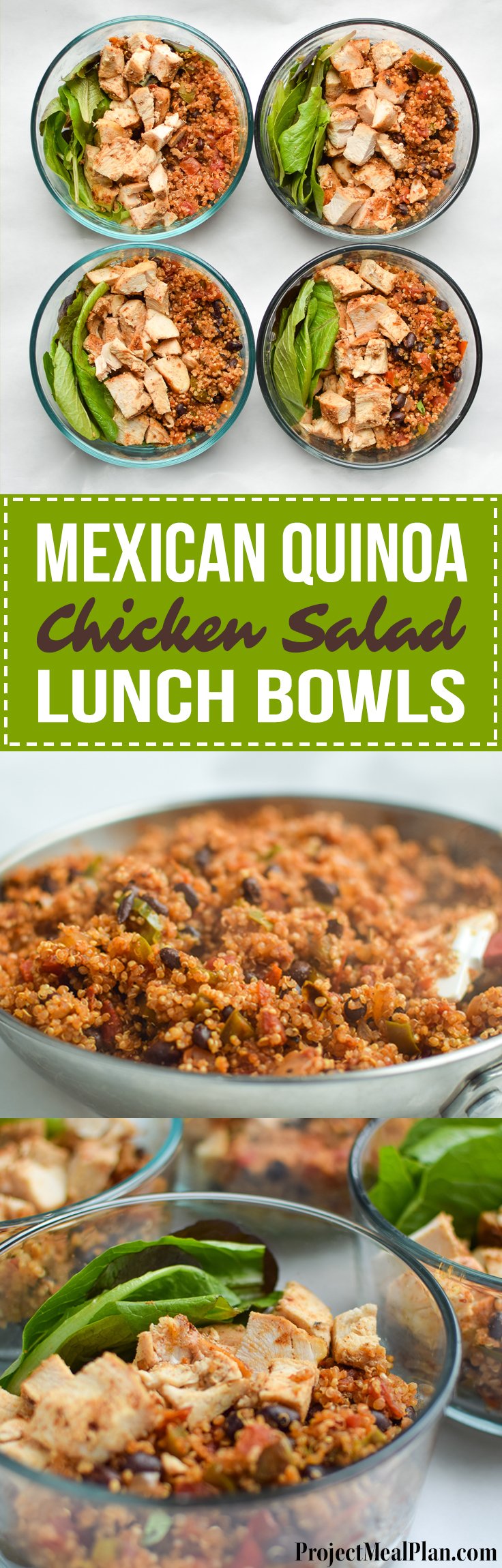 Mexican Quinoa Chicken Salad Lunch Bowls - My meal prep this week consisting of mexi quinoa and baked chicken breast over greens! - ProjectMealPlan.com