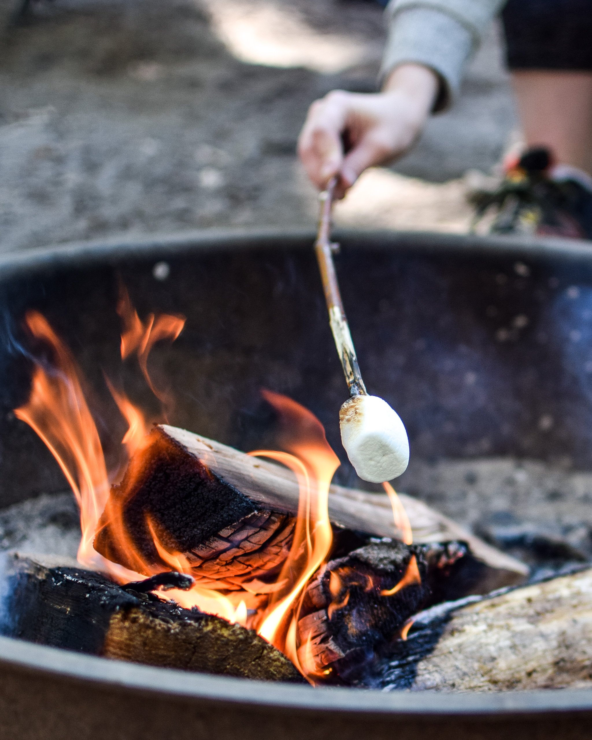 Roasting a marshmallow over a campfire.