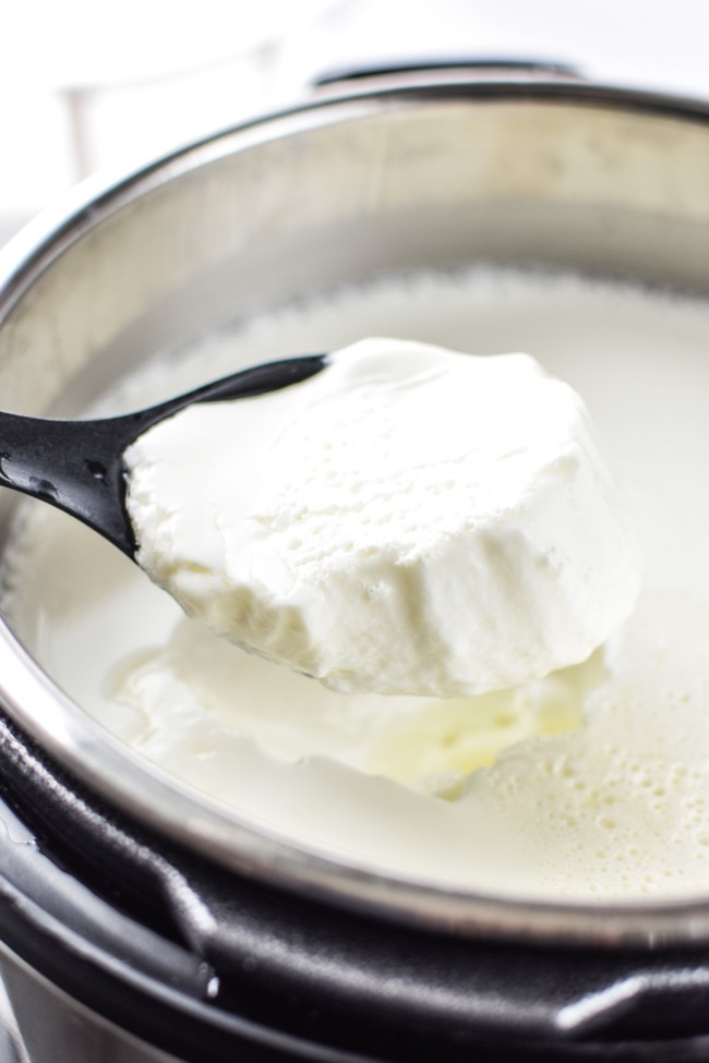 Store Bought vs. Homemade Greek Yogurt Which is Cheaper?