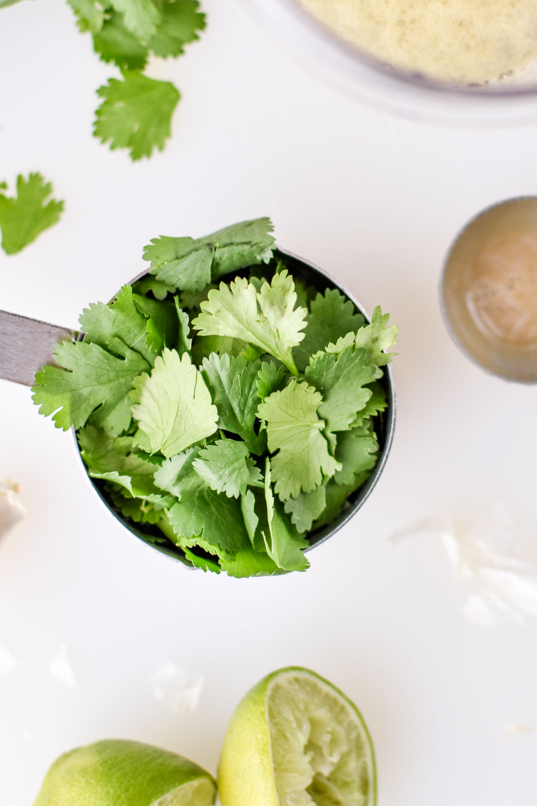 Cilantro ready to be used in the cilantro lime tahini dressing