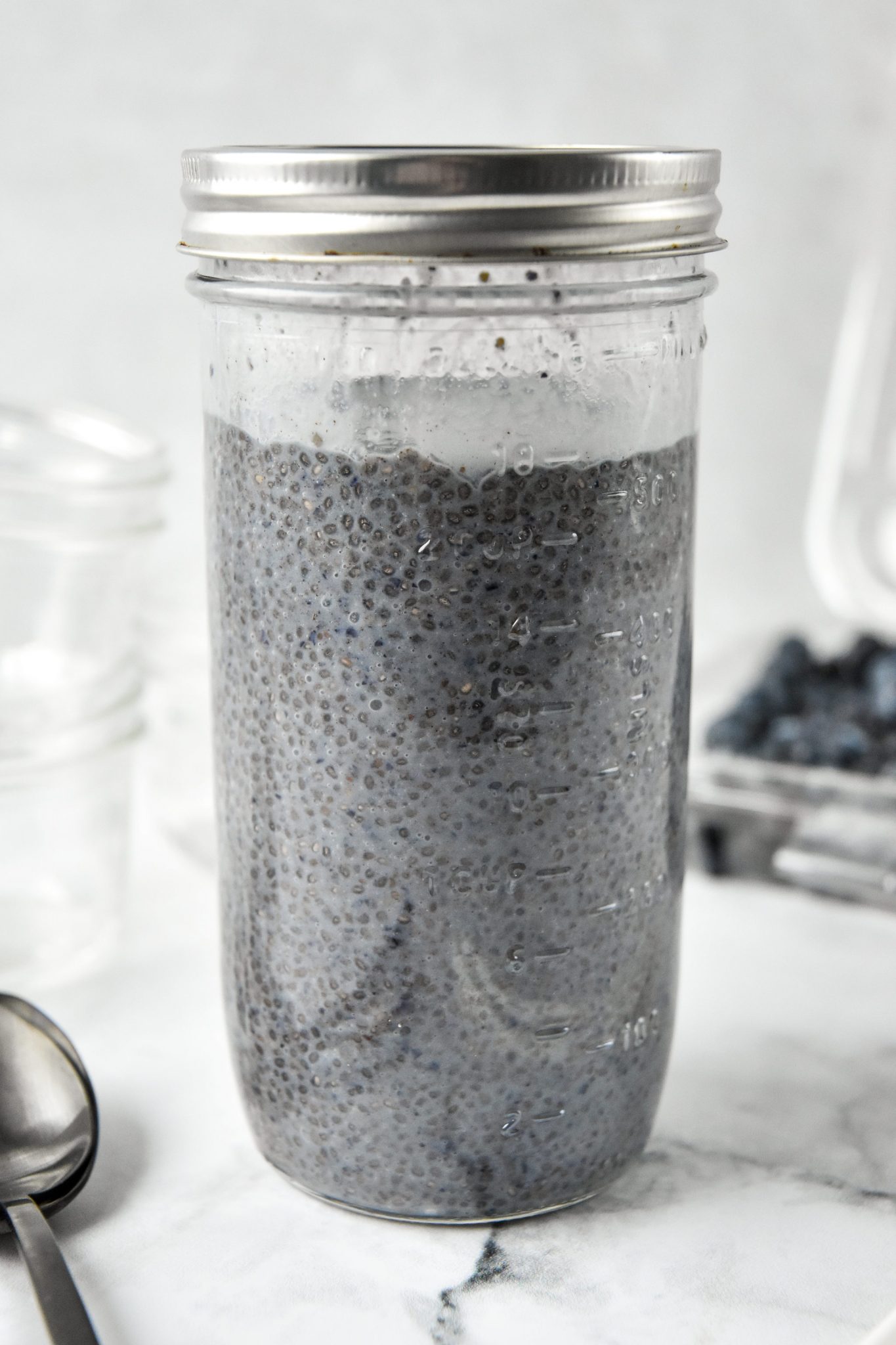 Blueberry Spice Chia Pudding Project Meal Plan