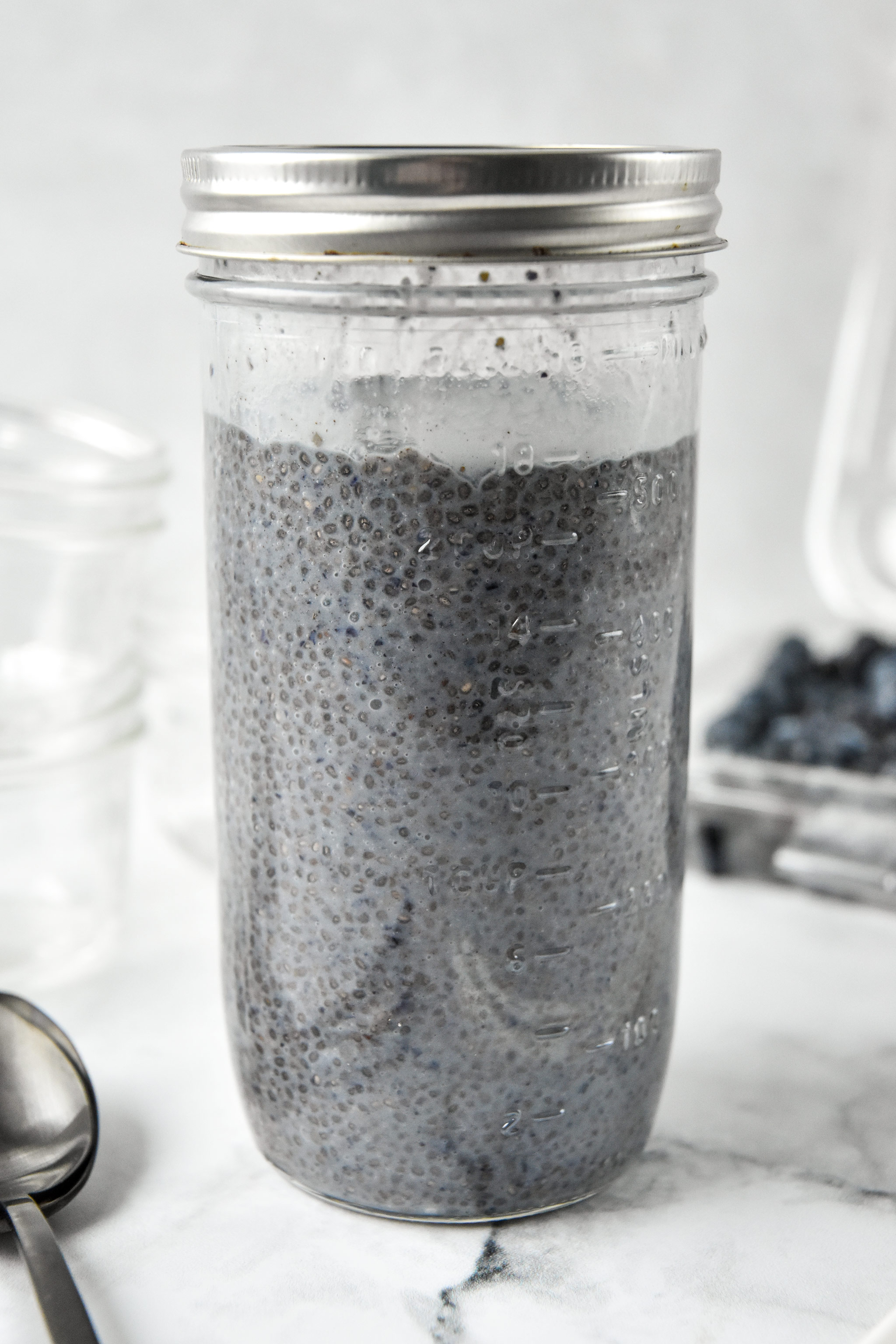 blueberry spice chia seed pudding after being refrigerated for 6 hours