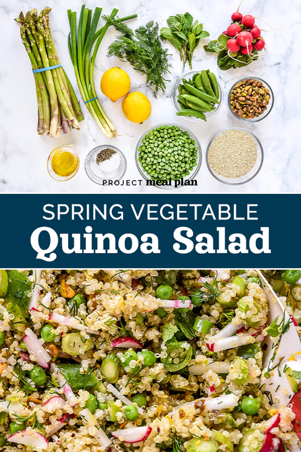 Spring Vegetable Quinoa Salad - Project Meal Plan