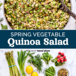 pin image with text for Spring Vegetable Quinoa Salad.