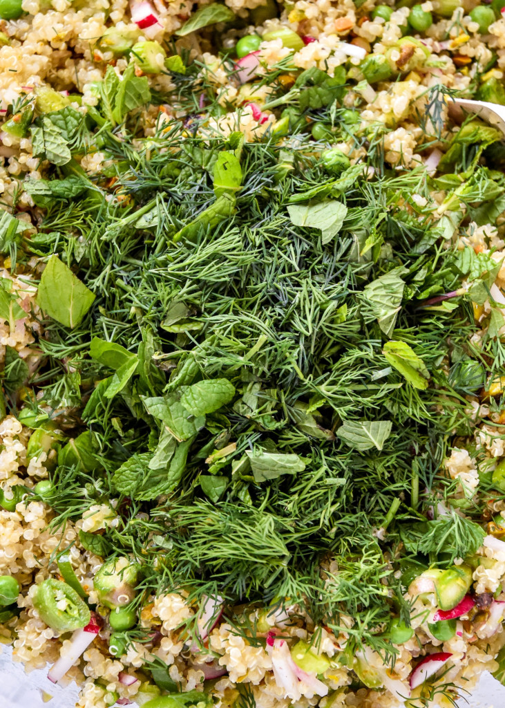 mixing in fresh herbs to the prepared quinoa salad.