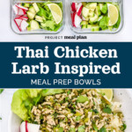 pin image for thai chicken larb inspired meal prep.