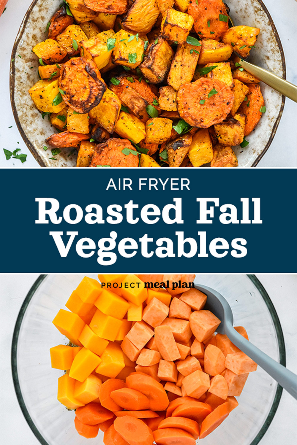 Air Fryer Roasted Fall Vegetables - Project Meal Plan