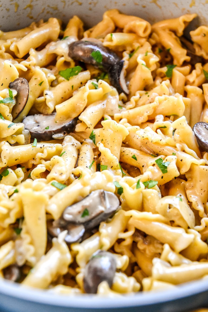 one pot creamy mushroom pasta with parmesan and parsley on top.