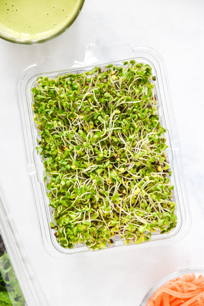 broccoli microgreens in a small container.