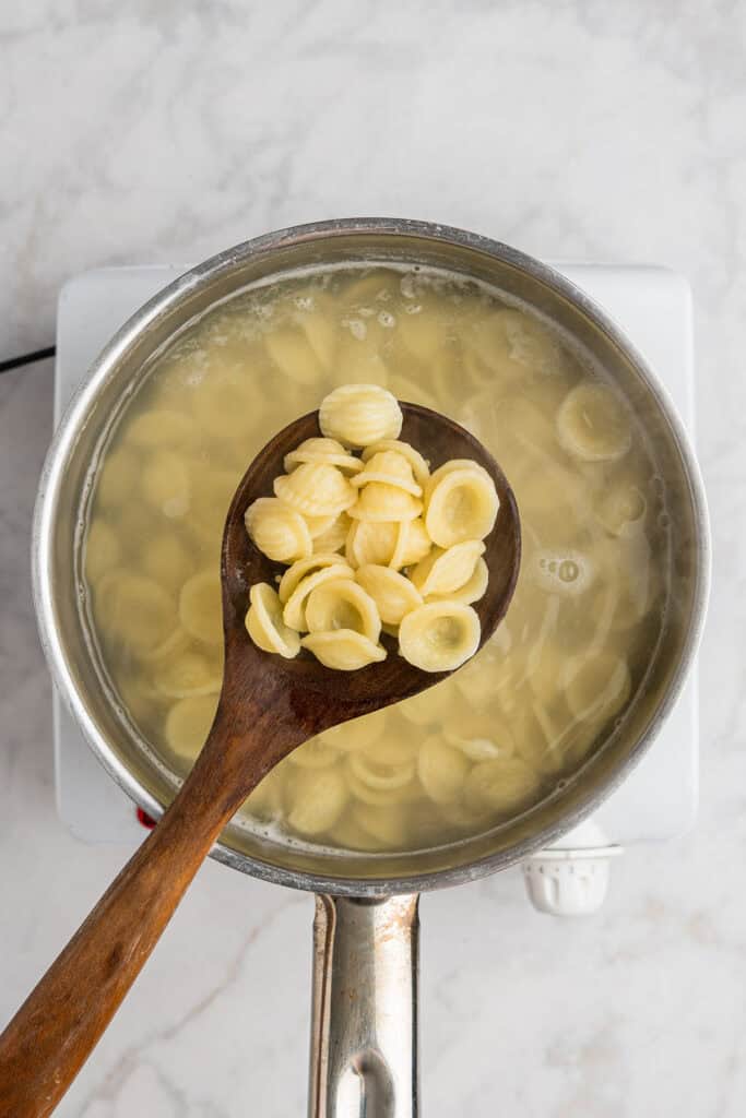 cooked pasta on a spoon held over a pot of boiling water.